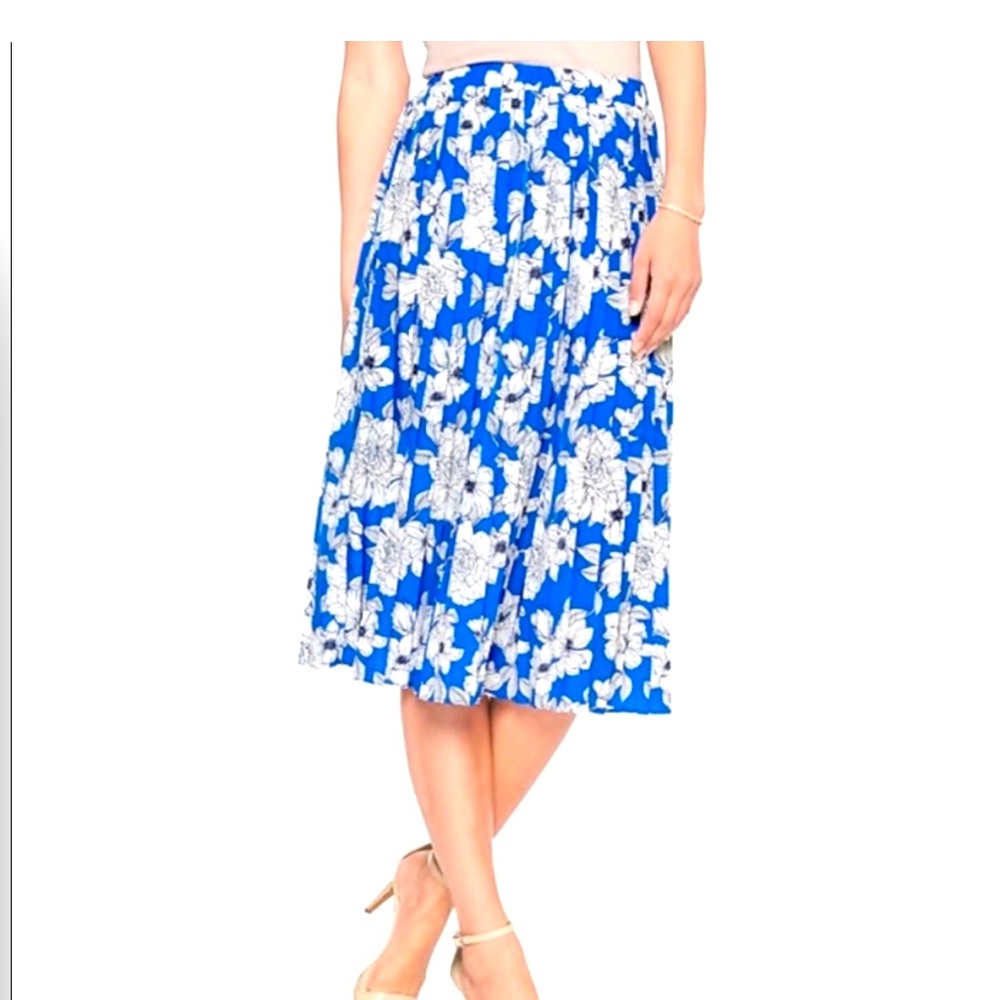 Banana Republic Blue Floral Skirt